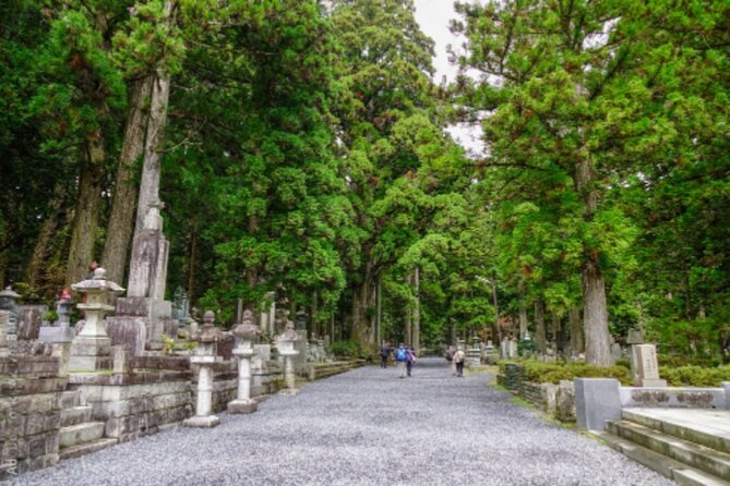 Mount Koya, Wakayama and Nachi Waterfall Tour - Attractions and Fees