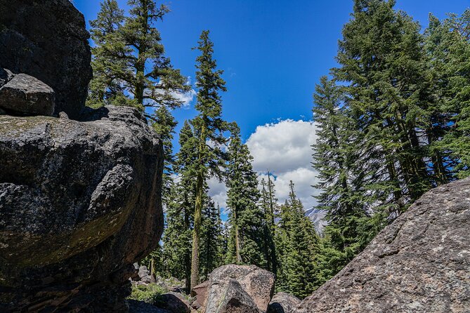 Mount Shasta Guided Tour Review - Inclusions and Accessibility Information