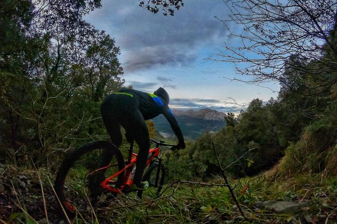 Mountain Bike for All Levels, in the Basque Heart - Savoring the Basque Culinary Experience
