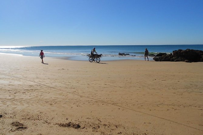 Mountain Bike Tour Conil De La Frontera Wine Bike Tour - Meeting Point and Details