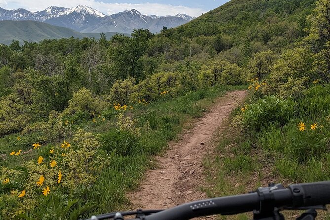 Mountain Ebike Tour - Included Amenities