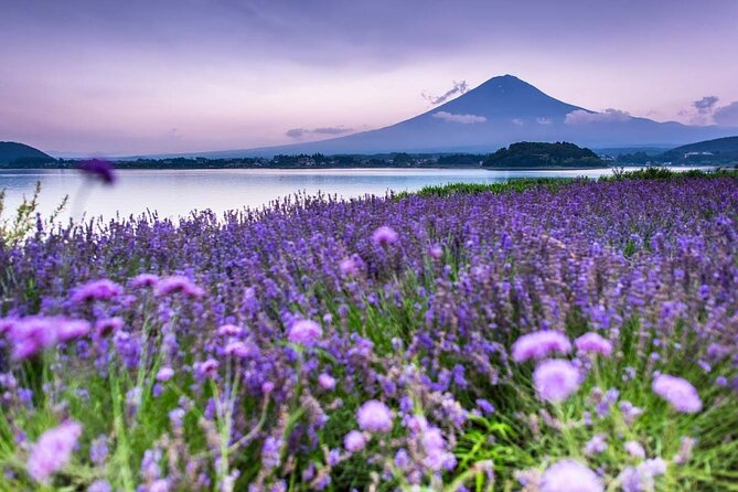 Mountain Fuji Tour In Japan With Professional English Tour Guide - Pick-Up Information