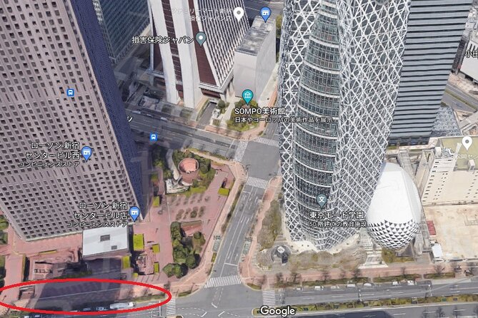 Mt. Fuji 5th Station, Owakudani Ropeway, Pirate Ship Plus Outlet Shopping! - Itinerary Details