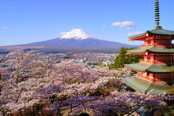 Mt. Fuji and Gotemba Outlet Private Day Trip From Tokyo - Pickup and Transportation
