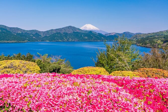 Mt Fuji and Hakone One Day Tour Departure From Tokyo With Lunch - Accessibility and Participation