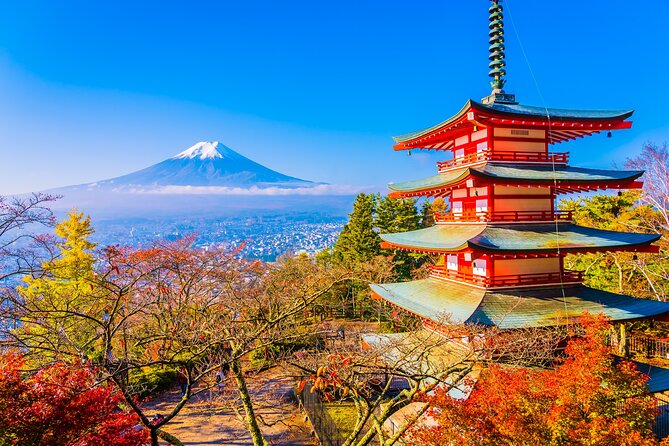 Mt. Fuji and Hakone Private Day Tour With English Speaking Guide - Private Guide Services