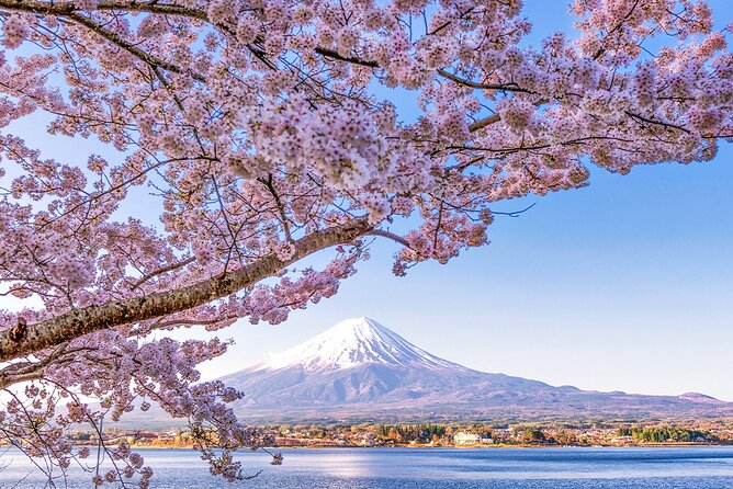 Mt. Fuji and Lake Kawaguchi Scenic 1-Day Bus Tour From Tokyo - Itinerary and Experience