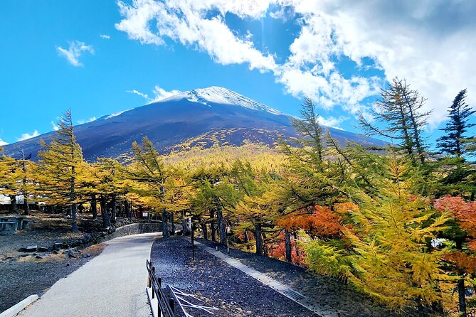 Mt Fuji Day Tour by Car With English Speaking Driver - Tour Inclusions