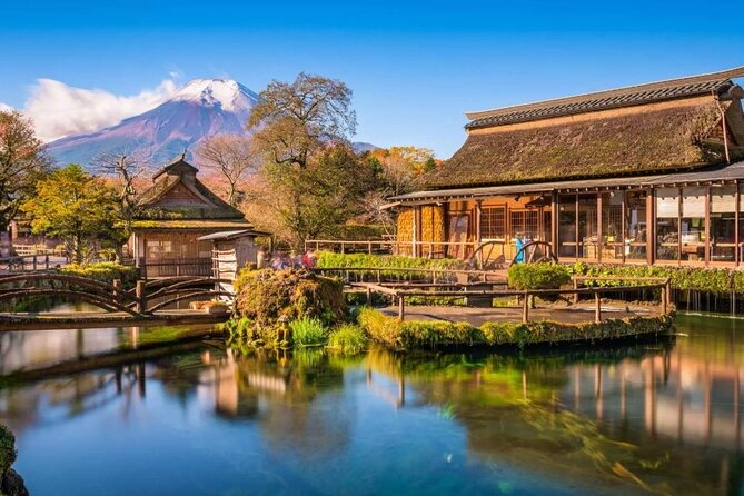 Mt. Fuji Day Tour From Shinjuku in Tokyo Japan - Accessibility and Participation