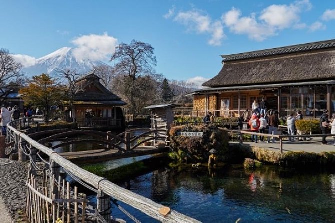 Mt.Fuji Full-Day Private Tour By Public Transportation - Accessibility
