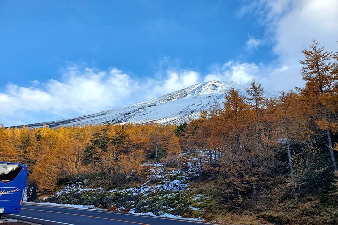 Mt. Fuji & Hakone Guided Private Tour GREEN NUMBER PLATES - Pickup Information