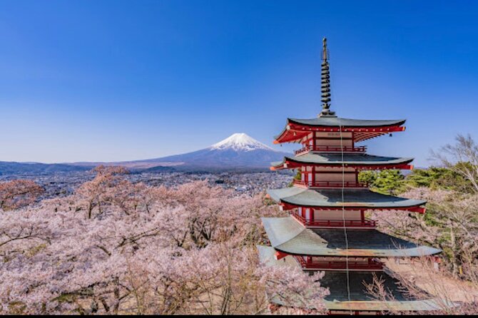Mt.Fuji Hakone Private Tour With English Speaking Chauffeur - Pickup Information