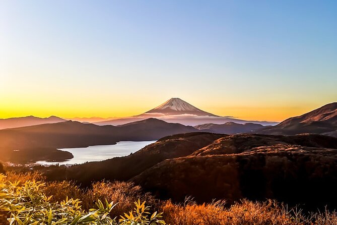 Mt. Fuji & Hakone Private Tour With English-Speaking Guide - Inclusions