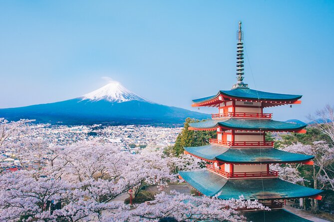 Mt. Fuji Highlight Photo Spots One Day Tour From Tokyo - Preparing for the Tour
