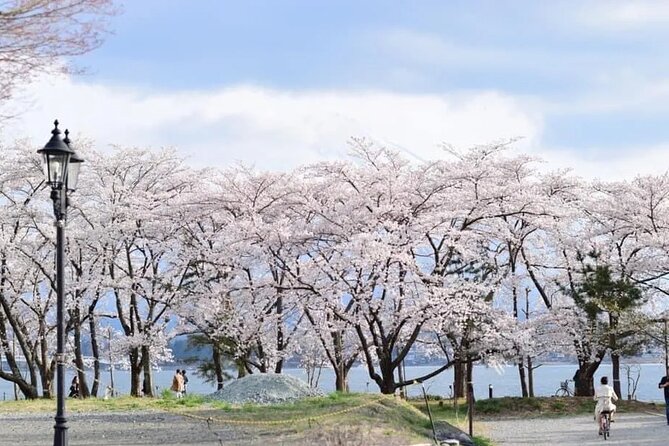 Mt Fuji Kawaguchiko Oishi Park Oshino Hakkai & Gotemba Tour｜Tokyo - Inclusions and Exclusions