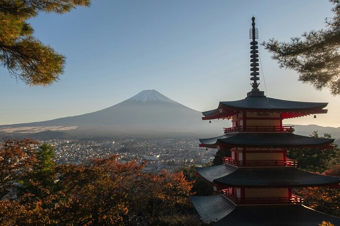 Mt.Fuji Private Day Trip From Tokyo With Driver & Top Photo Spots - Meeting and Pickup Details