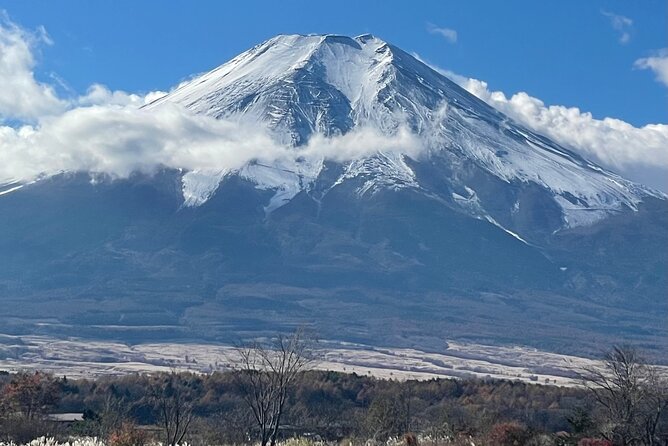 Mt Fuji Private Sightseeing Tour From Tokyo - Inclusions