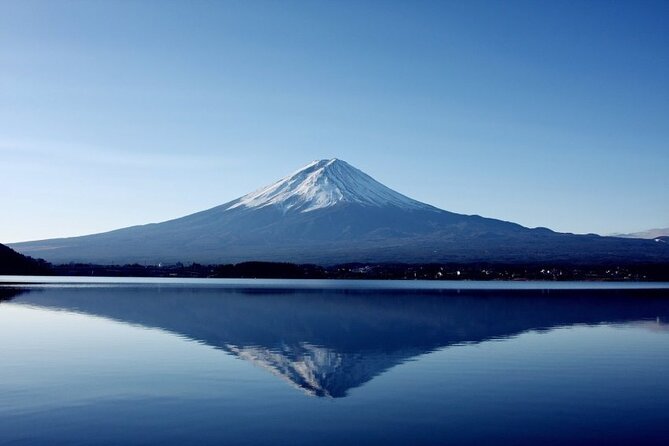 Mt Fuji Private Tour With Daily Chauffeur - Convenience and Comfort