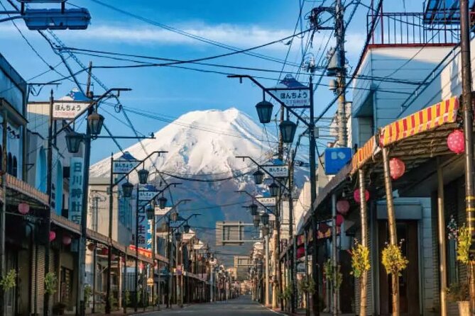 Mt. Fuji Roundtrip Tours From Shinjuku, Japan - Meeting and Pickup