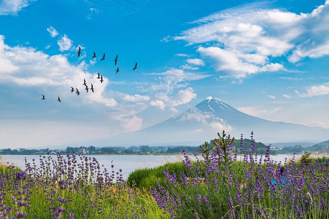 Mt. Fuji's Fifth Station & Lake Kawaguchiko Cycling Tour - Inclusions