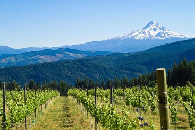 Mt. Hood/Gorge Waterfall Loop From Portland - Tour Details and Logistics