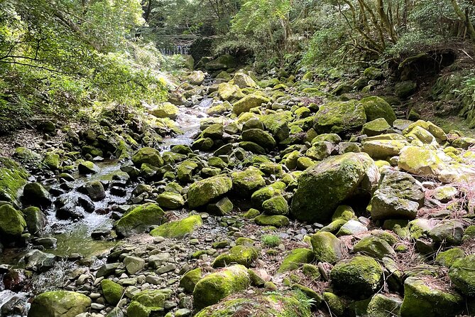Mt. Inunaki Trekking and Waterfall Training in Izumisano Osaka - Meeting Information