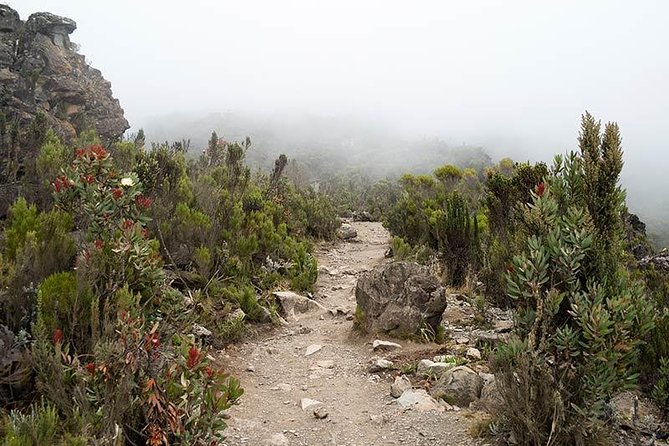 Mt.kilimanjaro-machame Route - Transportation and Pickup Details