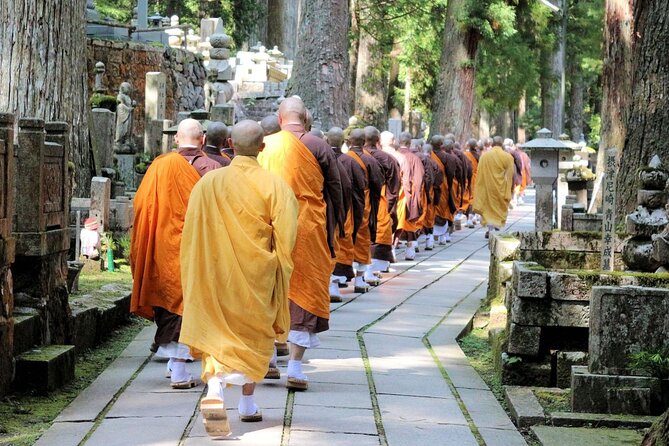 Mt Koya Full Day Tour From Osaka With Licensed Guide and Vehicle - Accessibility and Participation