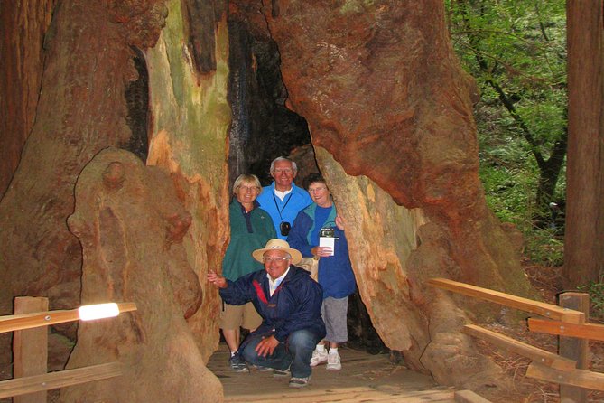 Muir Woods Forest Morning and Afternoon Private Tours - Morning Tour Highlights