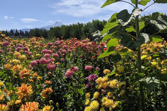 Multnomah Falls, Hood River Excursion Train Ride & Wine Tour - Wine Tasting Experience