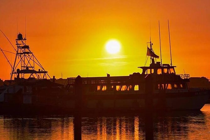 Myrtle Beach Sunset Dolphin Cruise Review - Boat Amenities and Accessibility
