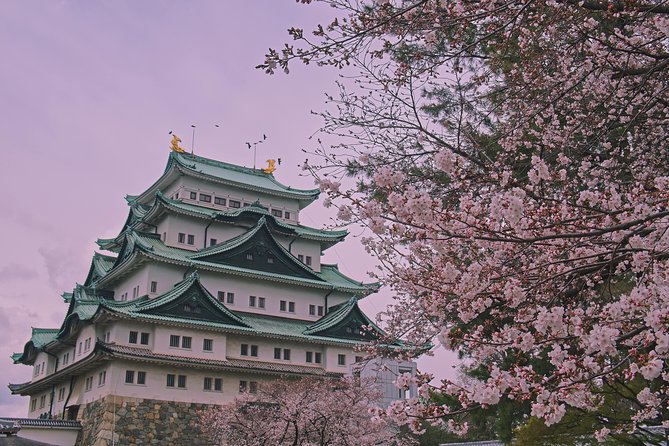Nagoya Private Customizable Full Day Tour - Transportation and Meeting Details