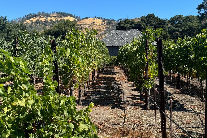 Napa Valley Luxury Wine Tours & Car Services - Luxurious Amenities on Board