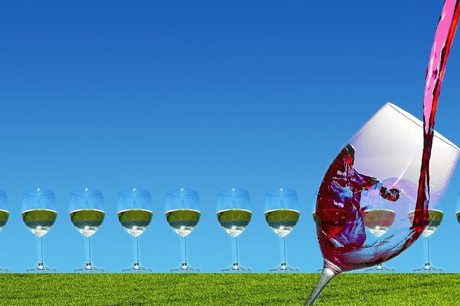 Napa Valley Wine Tasting Tour 6 to 8 Hours Max 14 Passenger - Customizable Itinerary Options