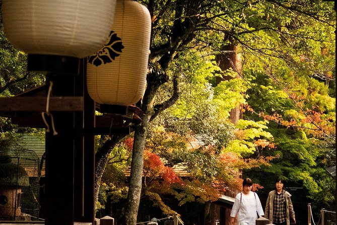 Nara Private Customizable Full Day Tour - Meeting and Pickup