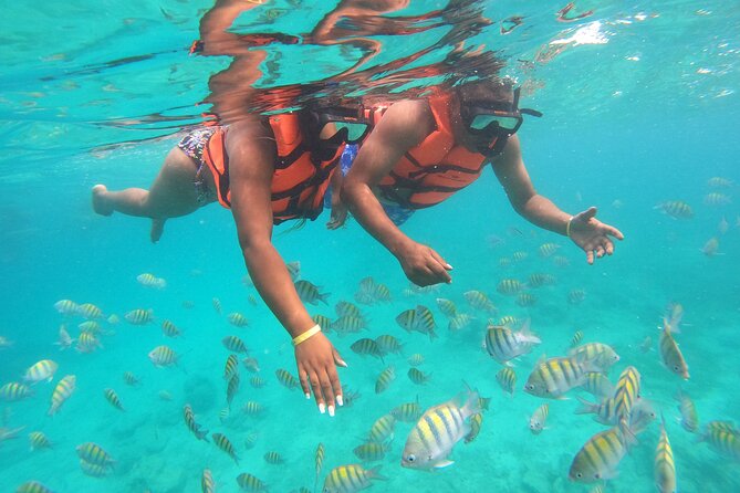 Natural Pool Speedboat and Snorkeling Experience - Speedboat Ride Highlights