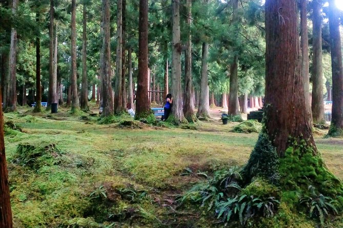 Nature Therapy Walks - Whats Included in the Walk