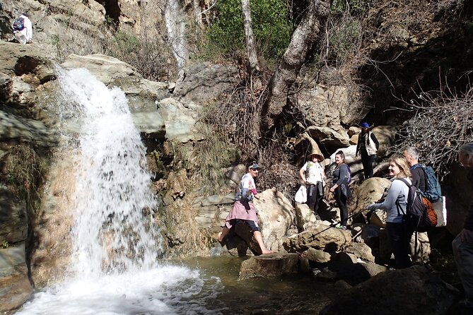 Nature Walk/Hike Tour Near Disneyland: ID Plants & Wildlife - Meeting and Pickup