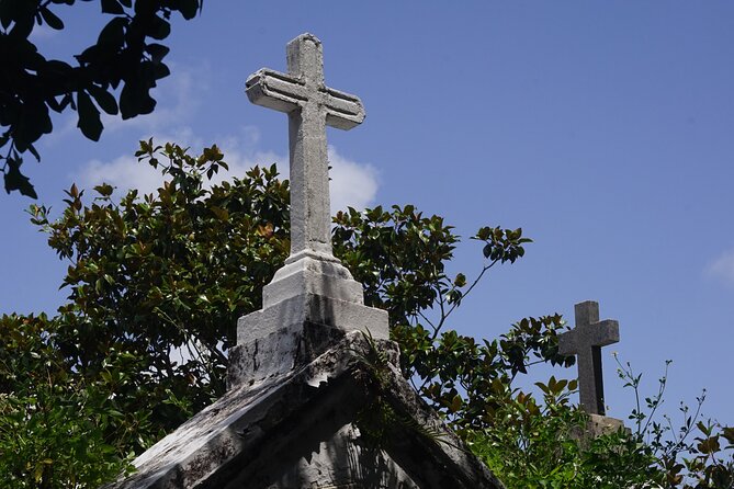 New Orleans Small Group Garden District History and Architecture Tour - Exploration of Lafayette #1 Cemetery