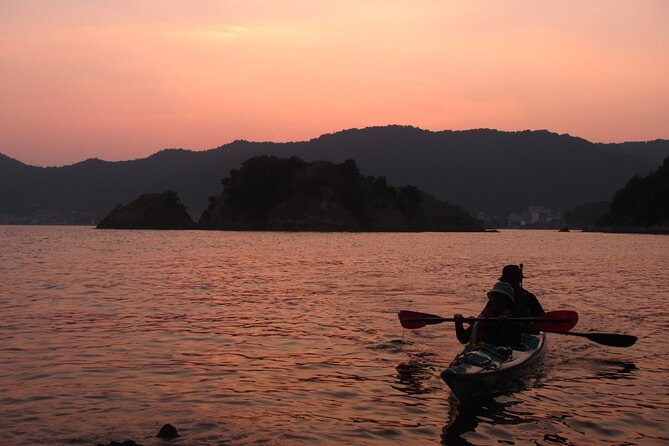 Night Kayak Tour Relax Under the Natural Glow of Sea Fireflies - Inclusions