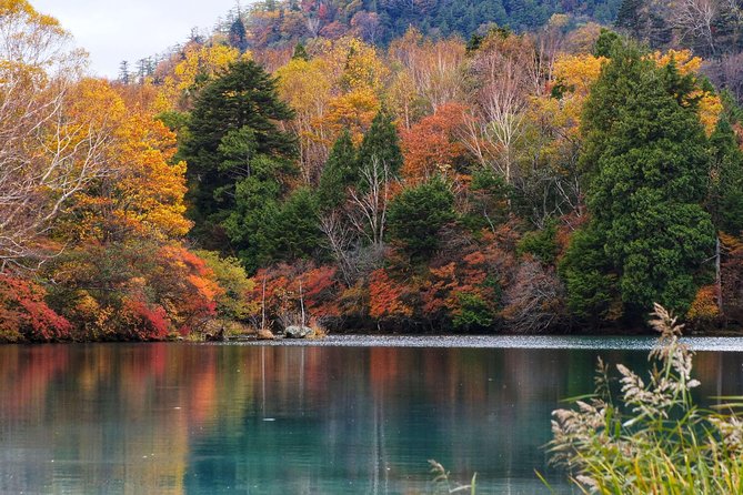 Nikko Private Customizable Half Day Tour - Breathtaking Natural Wonders