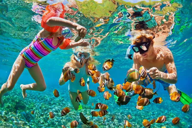 Nizuc Reef Snorkel Experience - Whats Included