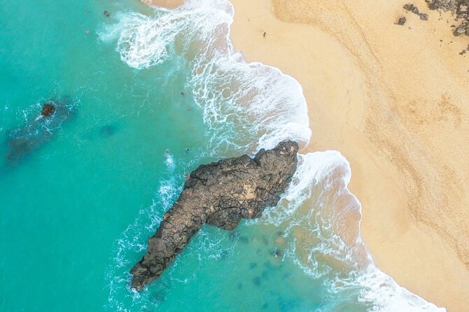 North Shore of Oahu Private Full-Day Tour With Local Guide - Accessibility Information