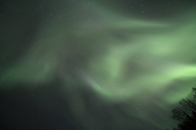 Northern Lights Murphy Dome Viewing in Fairbanks - Highlights of the Experience
