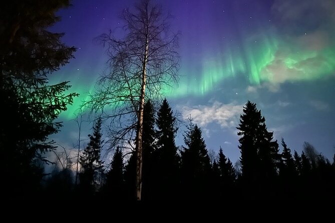 Northern Lights Tour At The Campfire - Tour Schedule and Timing