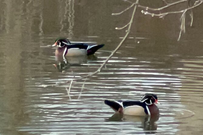 NYC Beginner Private Birdwatching Tour Review - Cancellation Policy