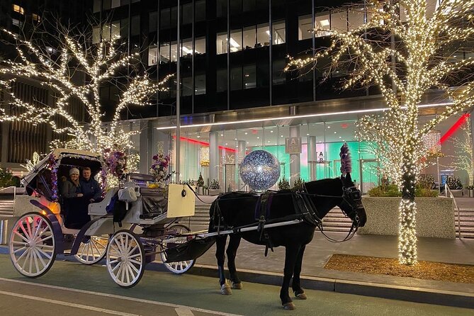NYC Rockefeller Center Christmas Lights Ride Review - Carriage Details and Amenities
