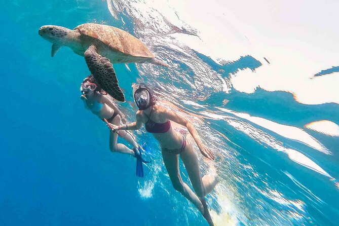 Oahu Coastline Cruise: Turtle Snorkeling and Jumping Platform - Jumping Platform and Thrilling Activities
