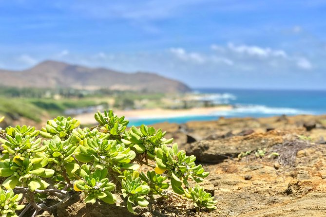 Oahu Custom Private Circle Island and Mini Circle Island Tours - Included Amenities and Pricing