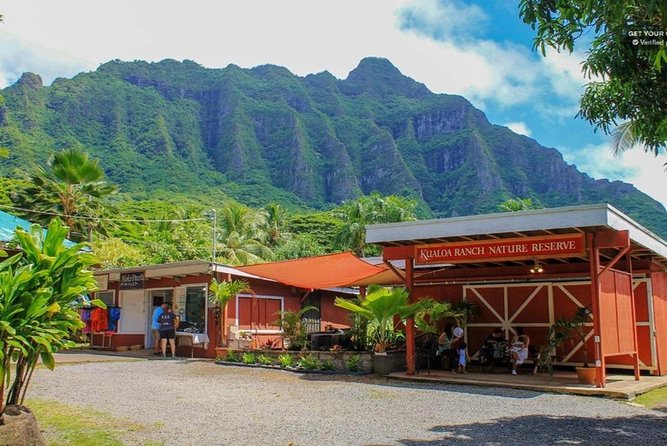 Oahu: North Shore & Dole Plantation Tour Review - Accessibility and Restrictions